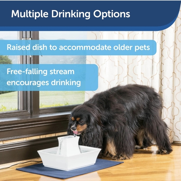 Ceramic Pet Fountain - Picture 4 of 16